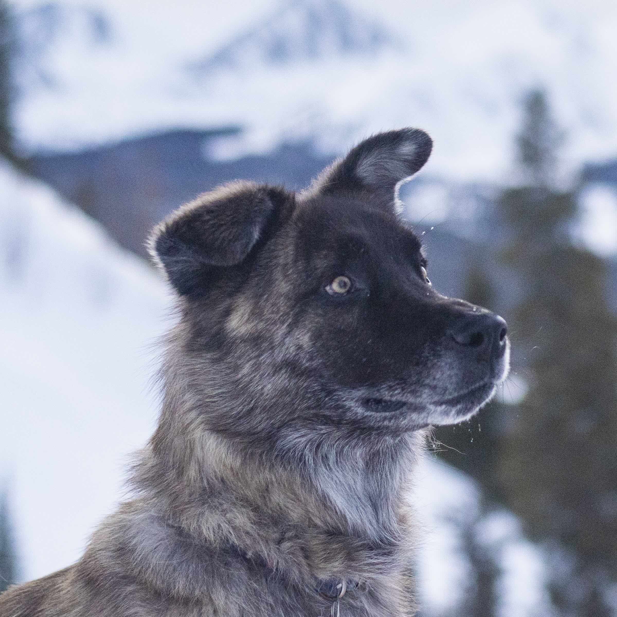 Lincoln